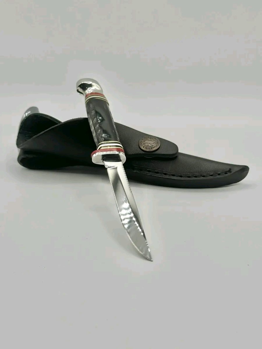 Case XX No. 17916 Mini Finn Genuine Buffalo Horn Fixed Blade Field Knife